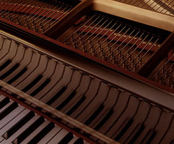 Our variety of plans, offers and services guarntee satisfaction of all piano lovers.