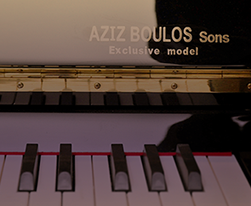 We offer exclusive models of grand pianos and upright pianos as well as famous brands.